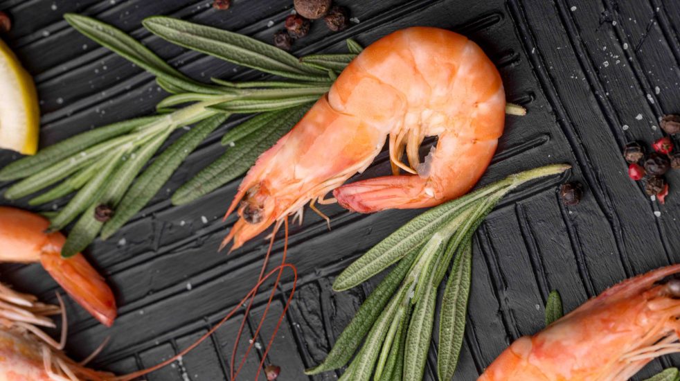 Global Shrimp Oversupply Issues