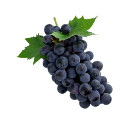 Grapes