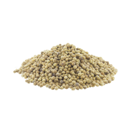 Coriander Seeds