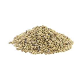 Coriander Seeds