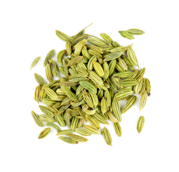 Fennel Seeds