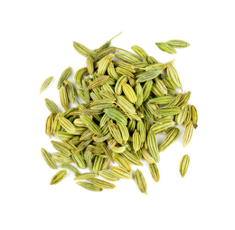 Fennel Seeds