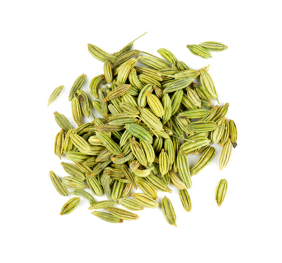 Fennel Seeds