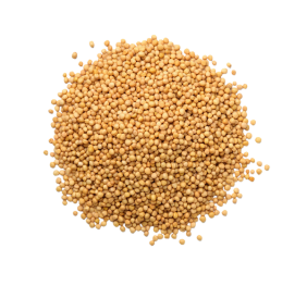 Mustard Seeds