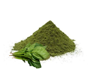 Spinach Powder