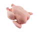 Whole Chicken