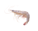 Vannamei Shrimp